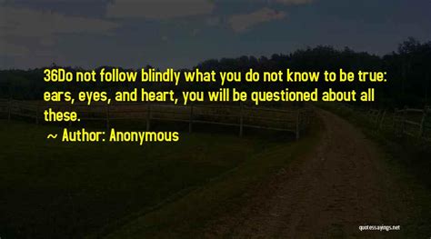 blindly synonym|to follow blindly.